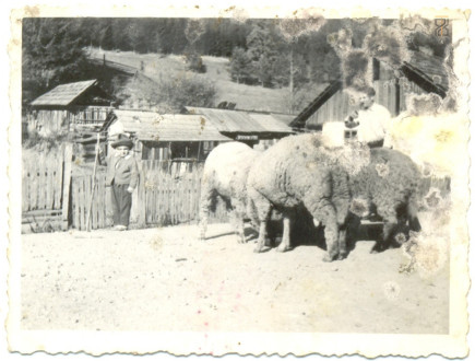 Úzvölgyi tájkép - 1975