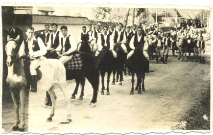 Szüreti felvonulás, 1966. október 2.