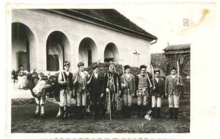 Farsangi szénakéregetés