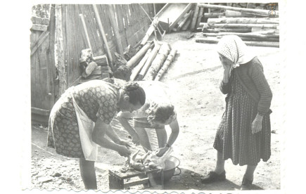 Csobot Anna, Sztojka Mária, Csedő Gizella